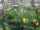 Могильные ограды, кресты, склепы